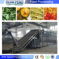 vegetables and fruits belt dryer machine manufacturers